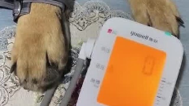 昨天是谁说想看头像这小傻孩子了