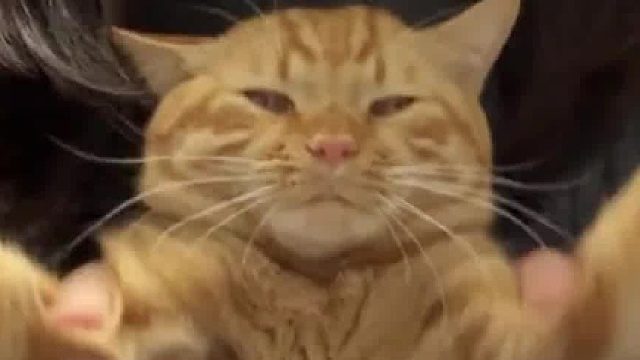 欢迎首席鼓手———肉包老师！！