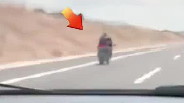 速度很快，死的也快