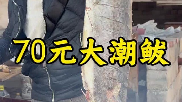 70元大潮鲅