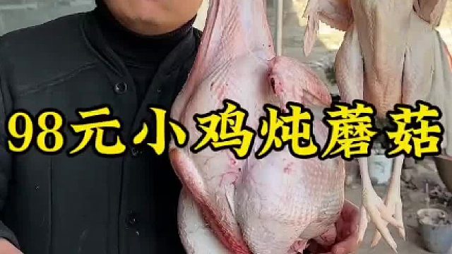 98元小鸡炖蘑菇