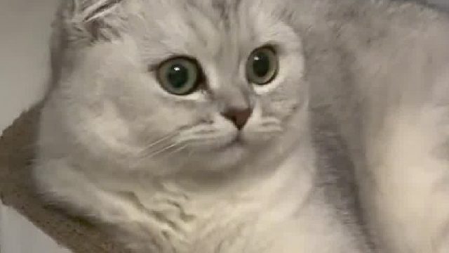 一秒钟都不要剪