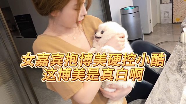【小小小酷哥】女嘉宾抱博美硬控小酷，这博美是真白啊