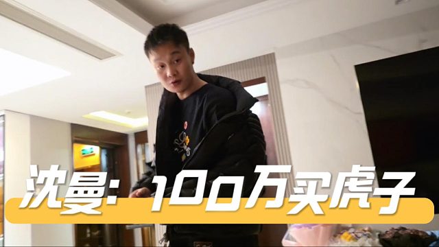 沈曼：100万买虎子自由身，酷酷：我同意了