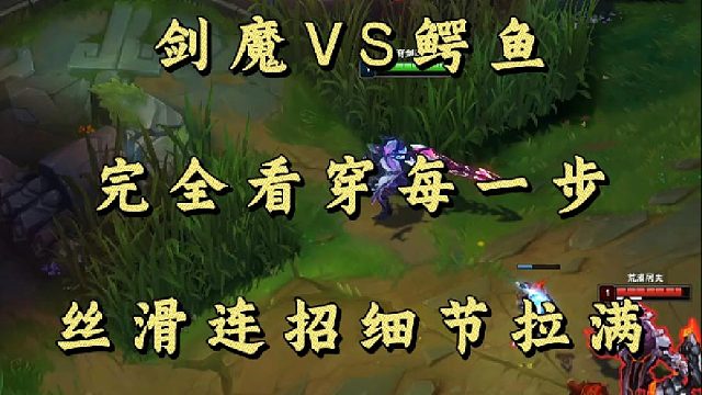 剑魔VS鳄鱼 完全看穿每一步 丝滑连招细节拉满！