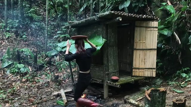 20260127 在野生森林中建立生活，女孩独自丛林生存 - 生存烹饪，雨中露营
