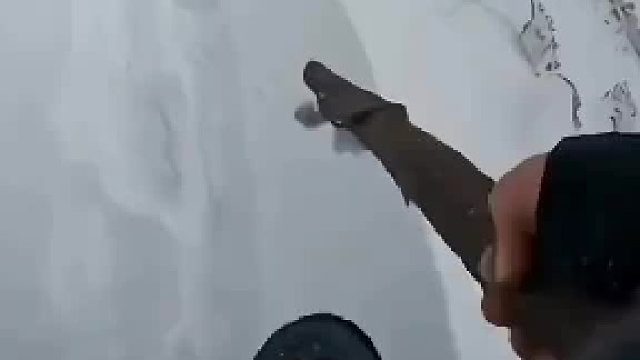 熊比豹子更喜欢吃人