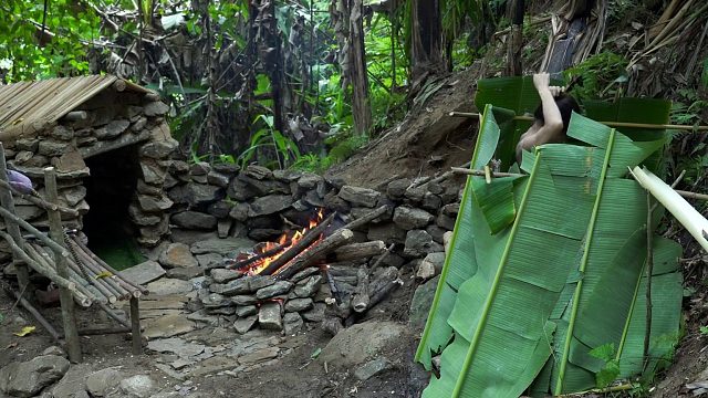 20260127 完整视频：90天搭建荒野避难所——丛林求生露营、野外收获