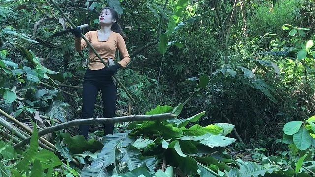 20260127 完整视频：我自己搭建了一个完整的庇护所，找到了生存的食物，睡了一整夜