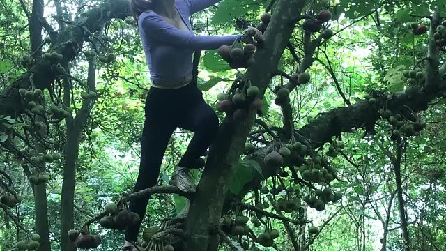 20260127 FULL：单独在山洞里建一个生存避难所，有出口--建一个防空洞以防战争