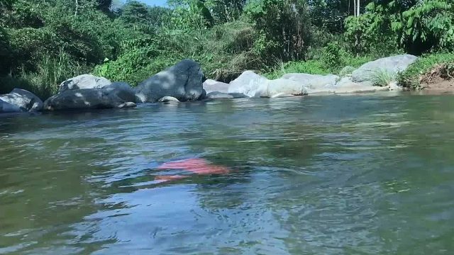 20260127 原始时代的生存之道：如何捕鱼——搭建庇护所和做饭