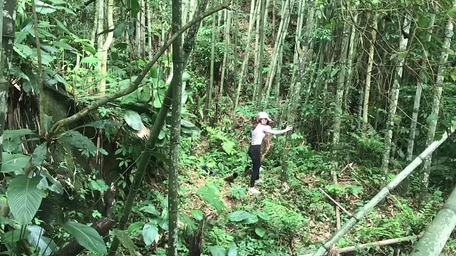 20260127 建造竹棚、野生食物 - 独自生存、烹饪、露营