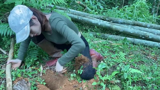 20260127 高处的避风港，如何建造竹棚 - 丛林工艺