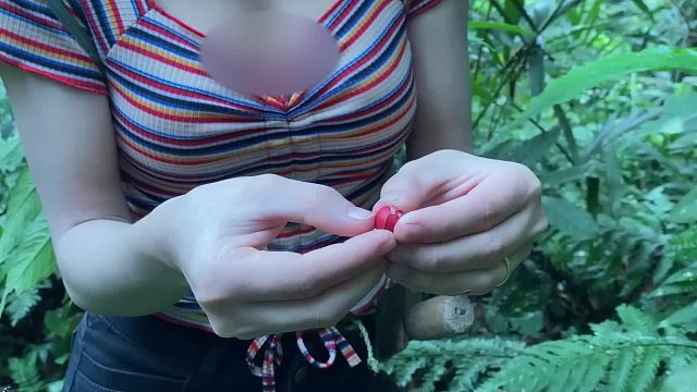 20260127 单人丛林生存、野外觅食、树下搭建庇护所和烹饪