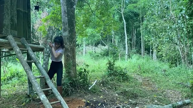 20260127 独自野外生活的技能，用野土豆做蛋糕，建造壁炉