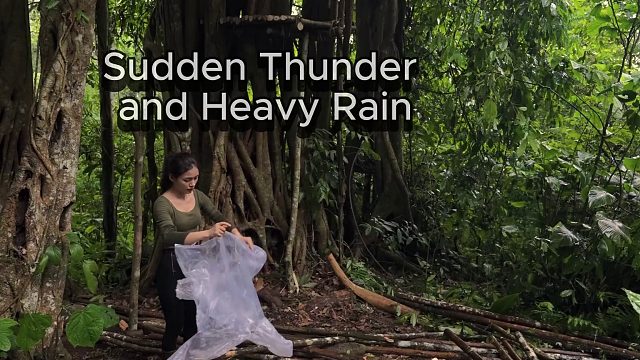 20260127 在树内搭建庇护所——在暴雨中独自生存