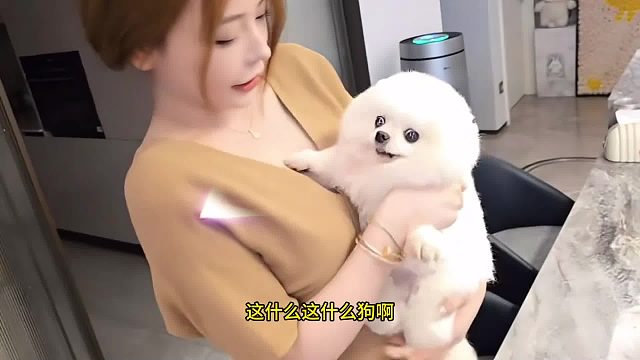 这狗真白啊