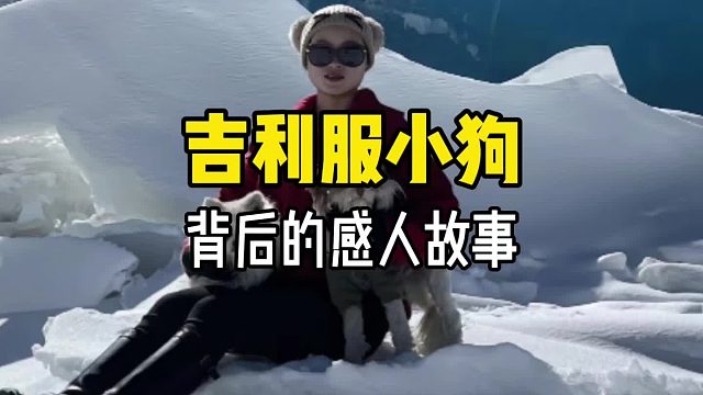 吉利服小狗背后的感人故事……