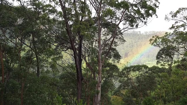 20260127 完成我的废弃小屋修复工作