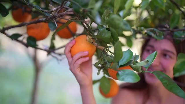 20260127 春收之旅：在乡村自己种菜