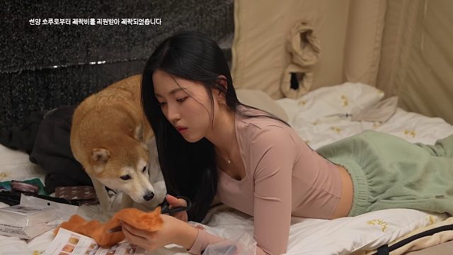 20260127 ️在大雨的森林里打造属于自己的鸡尾酒吧｜一杯鸡尾酒配上热腾腾的鱼饼炖菜｜大