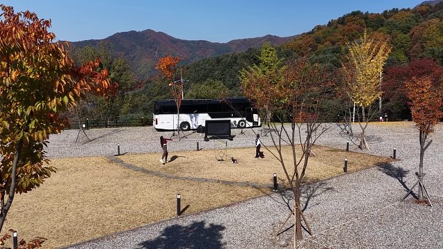 20260127 五星级酒店与美丽客人一起在豪华巴士大篷车中露营