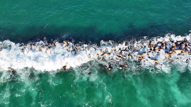 20260127 冬天蔚蓝的大海上露营，屋顶帐篷能持续-5℃ㅣ山顶ㅣ迪瓦斯托舞西洞暖气ㅣ露天露营