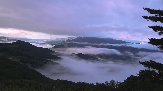 20260127 史上最壮观的景色在云端露营是什么感觉？ㅣ炸猪排鳕鱼子锅饭ㅣ独自露营ㅣ天然