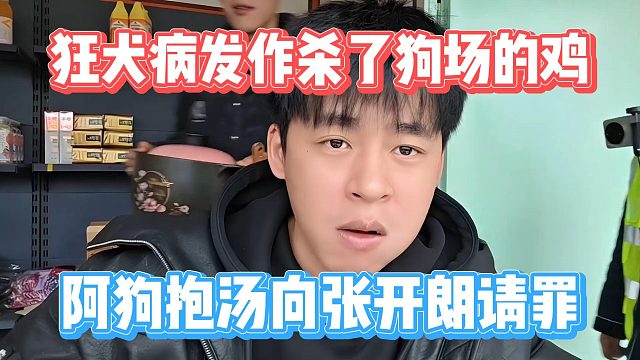 狂犬病发作杀了狗场的鸡，阿狗抱汤向张开朗请罪
