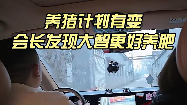 养猪计划有变，会长发现大智更好养肥