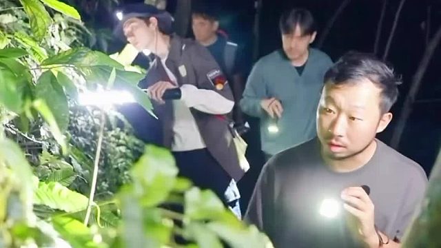 林一 胡歌 一人一句话本地人都绷不住