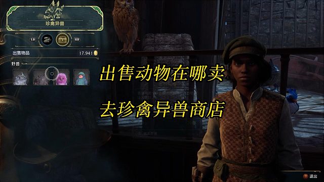 《霍格沃茨之遗》出售野兽动物在哪卖？去珍禽异兽商店Hogwarts Legacy 角色扮演游戏攻略