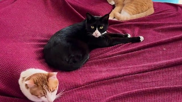 我不知道该说什么