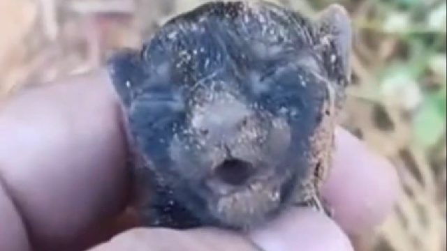 可不可以你把我宠坏