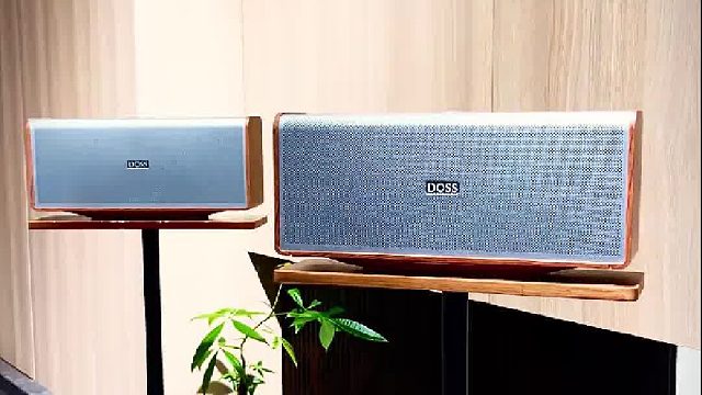 老歌的细节、乐器的层次全出来了！DOSS全景声音响