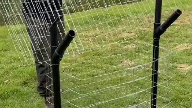 这个外国人真聪明