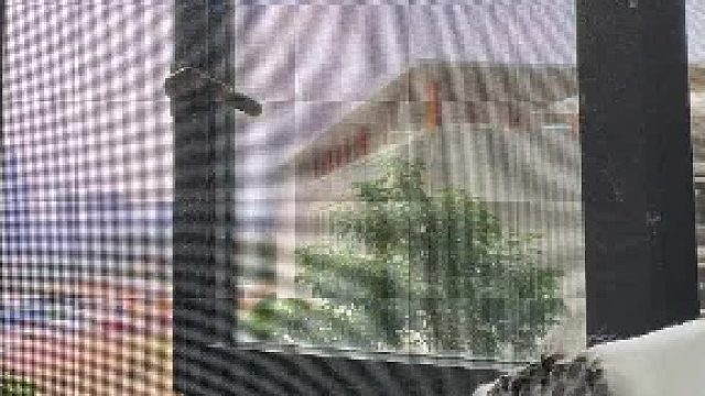 数万人用的纱窗清理法，到底哪个最好用？