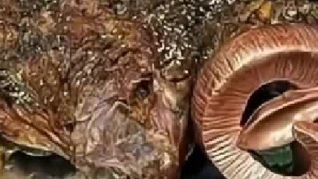 点外卖还有专门差评吃霸王餐的，别高估人性