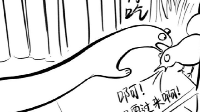 猫保护小鸡嘿嘿