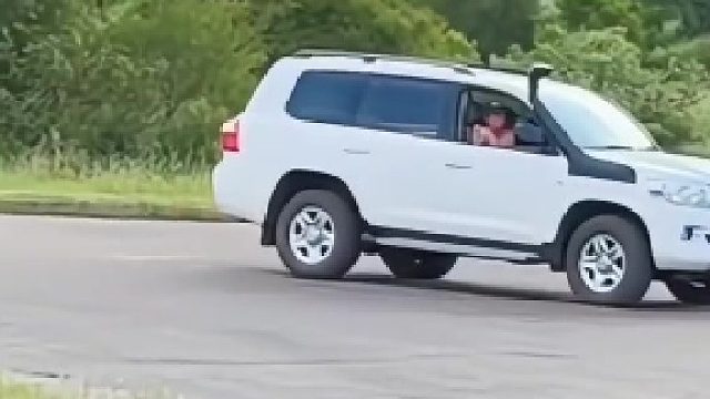 一个不够吃 再来一个