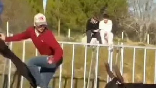 人开心，牛也开心，皆大欢喜