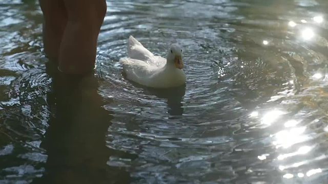 20260127 传统乡村生活：建筑、收割、烹饪、缝纫