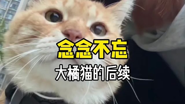 念念不忘，必有回响。