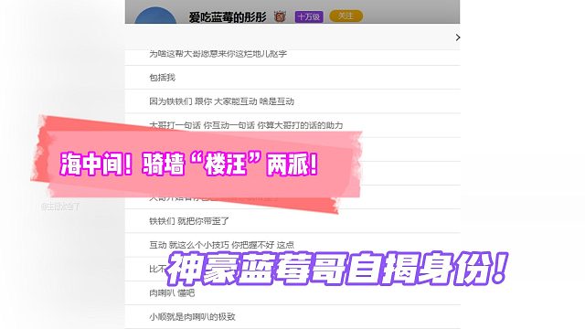 海中间！骑墙“楼汪”两派！神豪蓝莓哥自揭身份！
