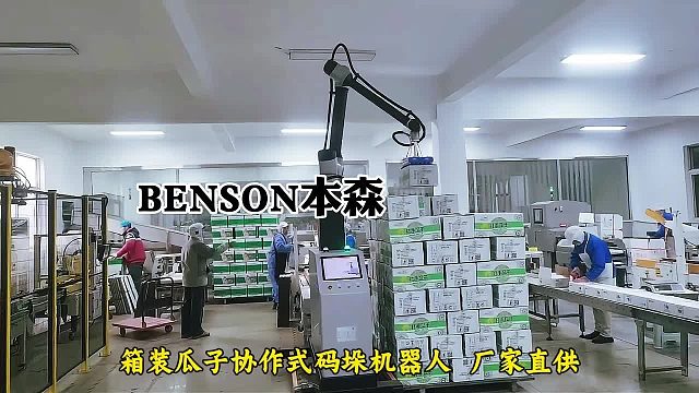 箱装瓜子协作式码垛机器人 厂家直供