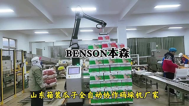 山东箱装瓜子全自动协作码垛机厂家