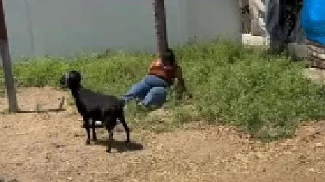 与其苟延残喘，不如纵情燃烧