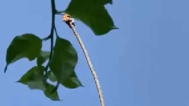 挑战永无止境，激发无限潜能