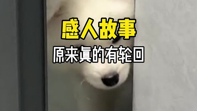 原来世界上真的有轮回！