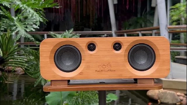 这音响听醉了！春节放假了，喝茶听音乐最舒适